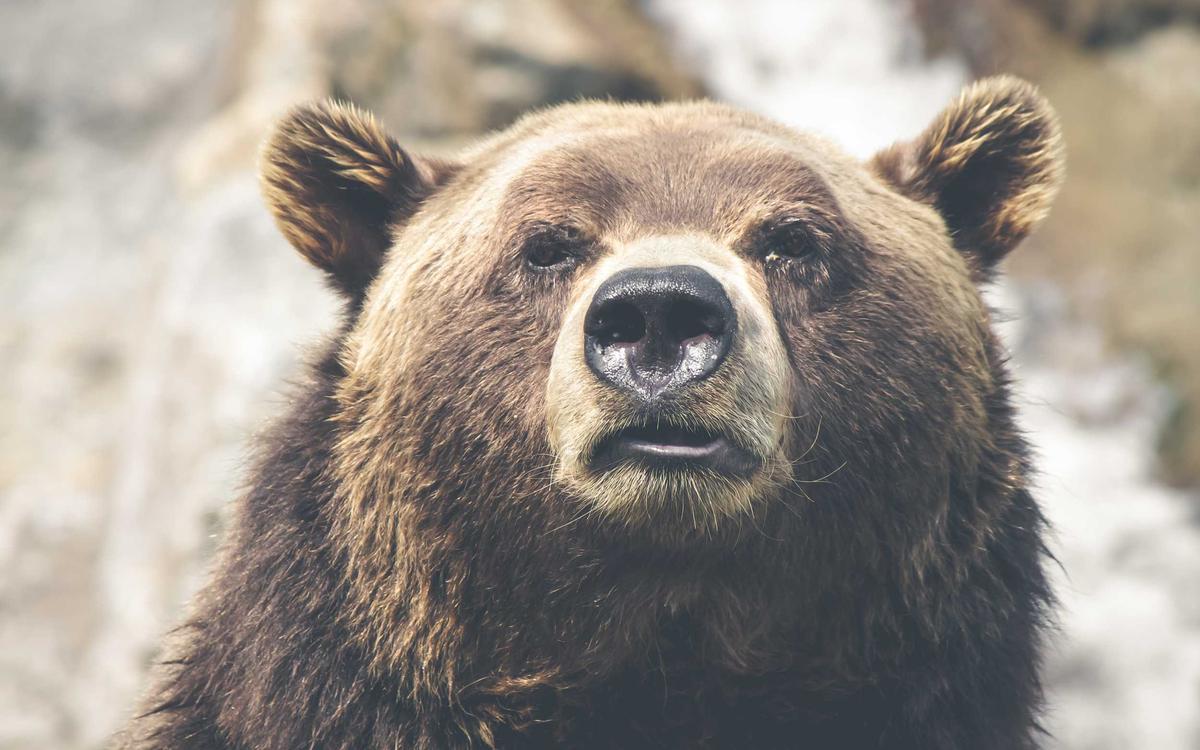 档案:某偷税案全卷宗整理(2020-2026)